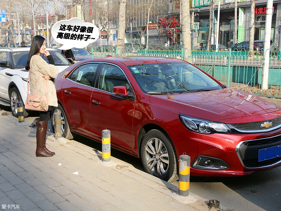 單身狗的幸福之旅