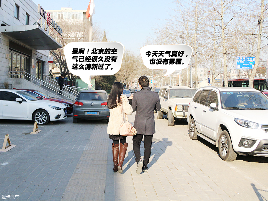 單身狗的幸福之旅