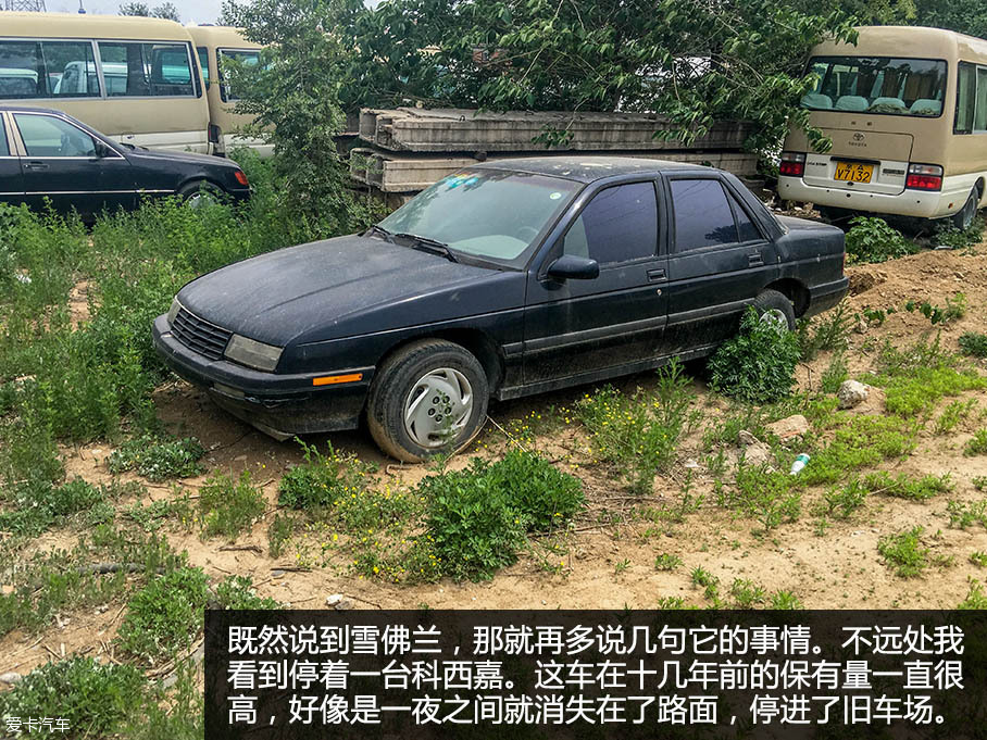 狗仔队（京郊）