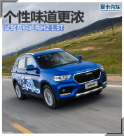 ����ζ����Ũ �����Լ��������H2 1.5T