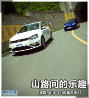 ɽ·�����Ȥ �Լ�Polo GTI�ͼ��껪ST